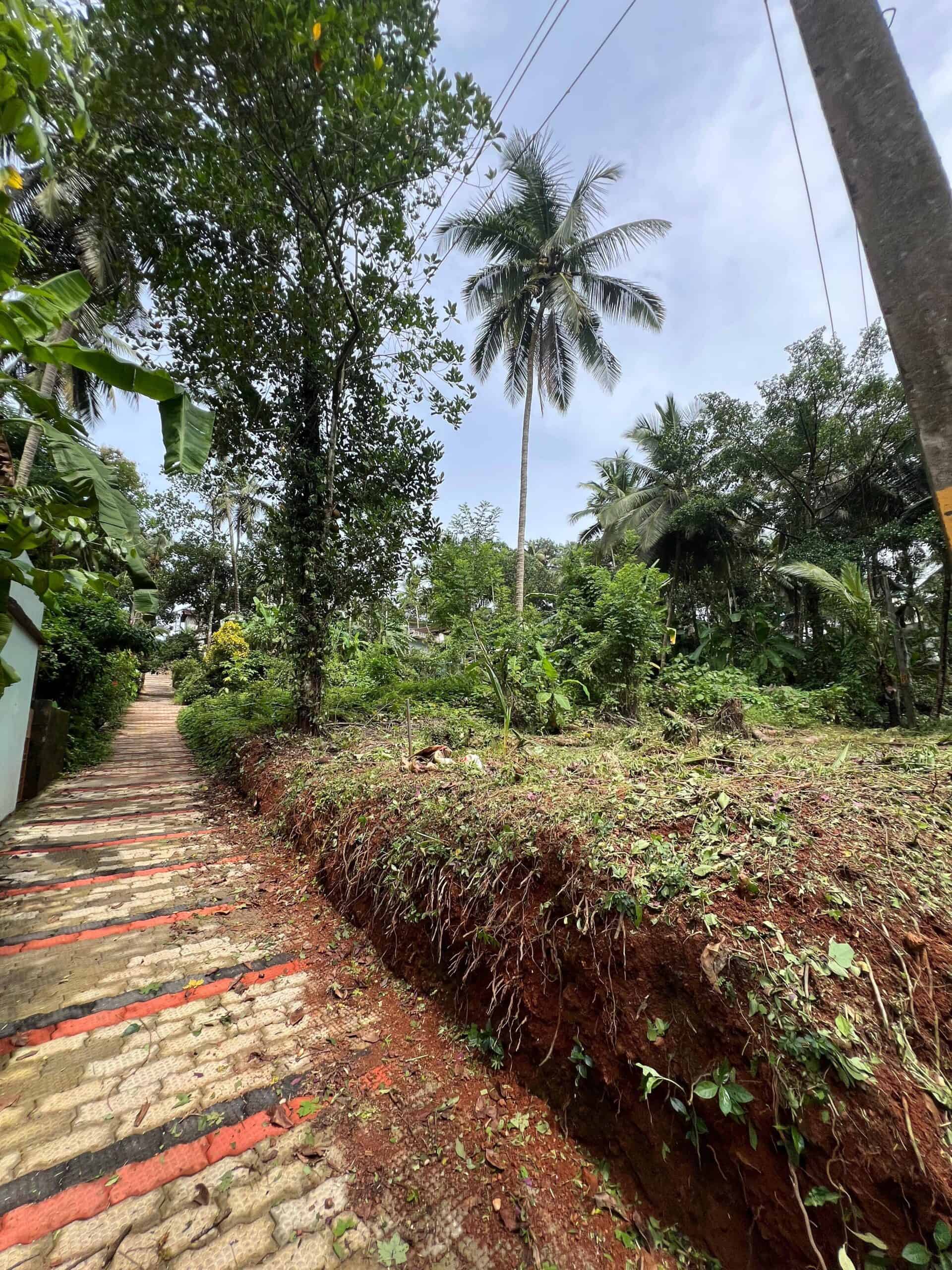 AT CHEVAYOOR CALICUT