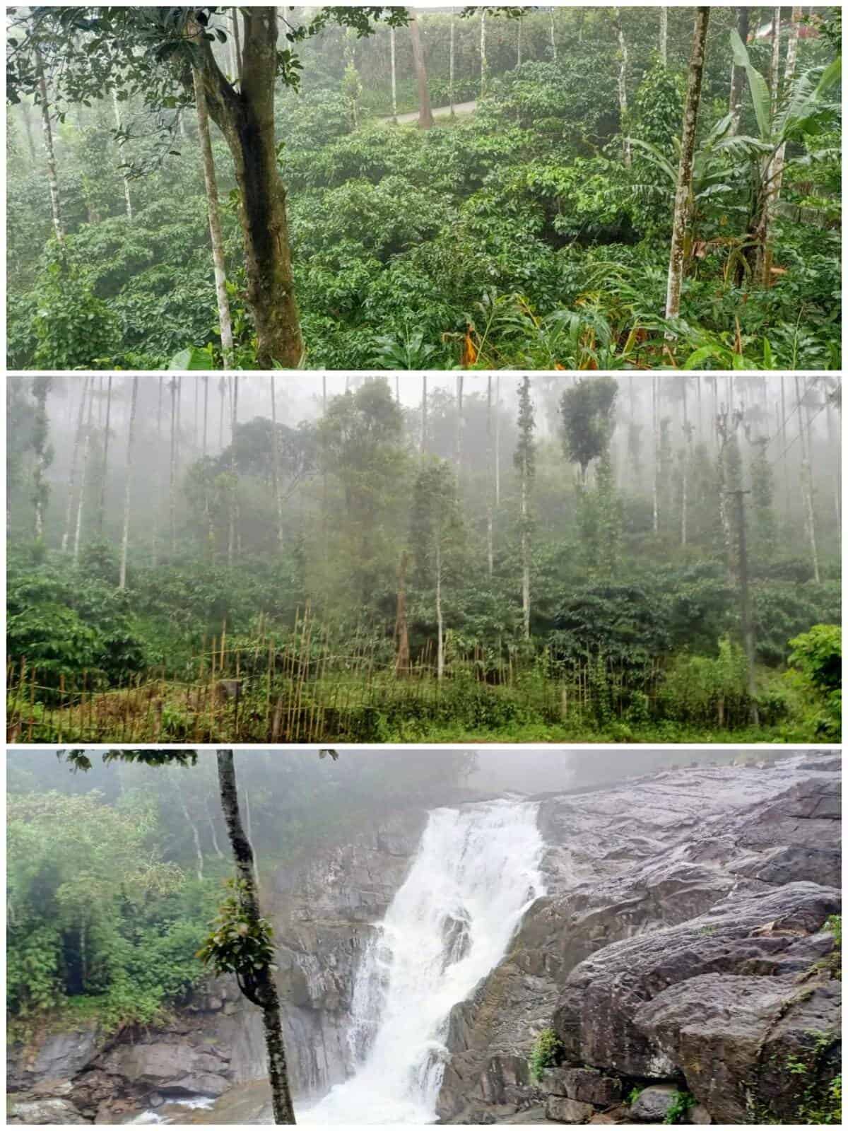 LAND AT WAYANAD,KANTHAN PARA WATER FALLS