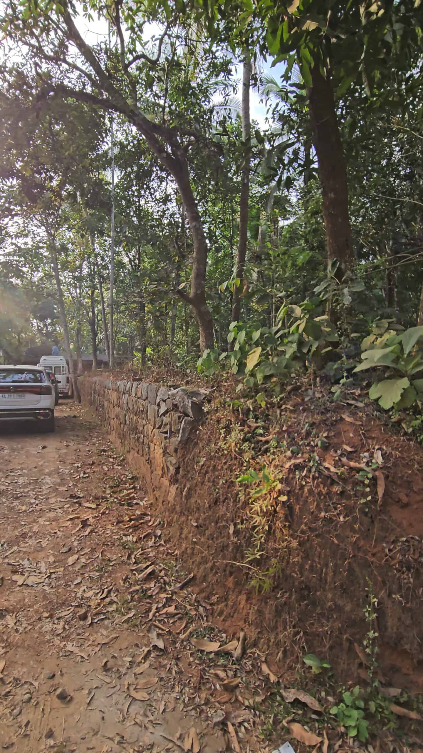 AT BALUSSERY,KOZHIKODE