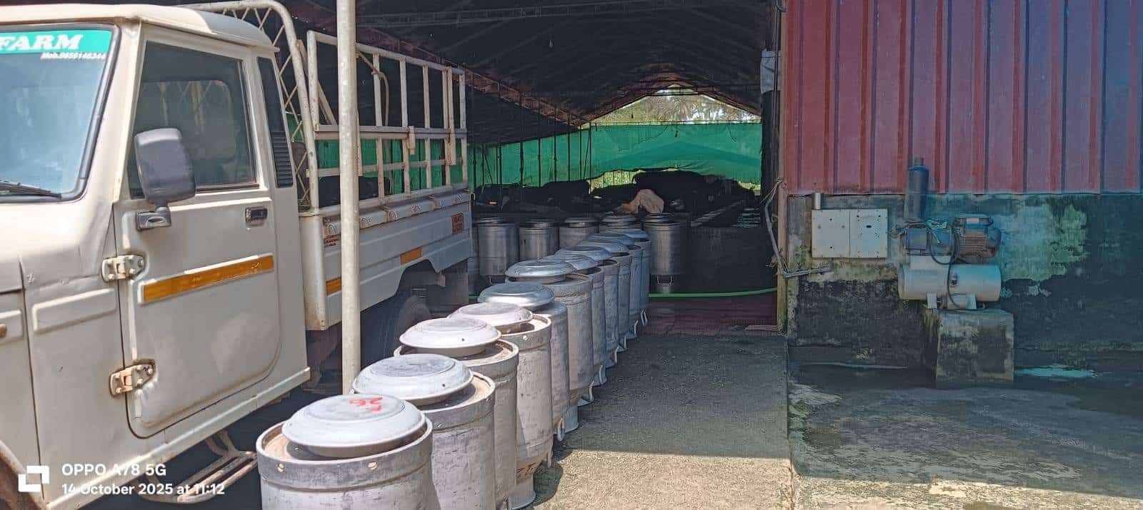 DAIRY FARM FOR SALE AT WAYANAD