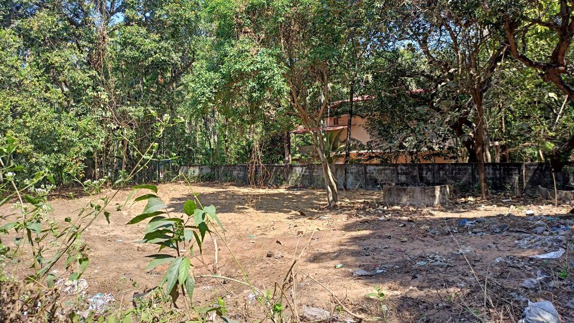 Thalikulam land 18 cents