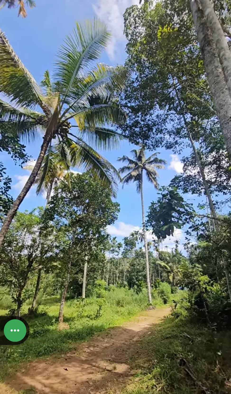 Land for sale at Wayanad